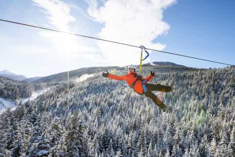 Whistler Zipline Experience: Ziptrek Eagle Tour