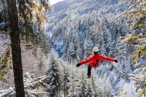 Whistler : aventure en tyrolienne Ziptrek Eagle Tour