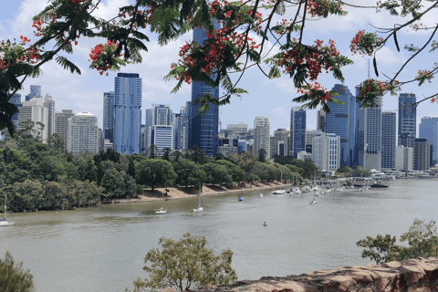 Brisbane: Visita guiada gastronómica con café, marisco y vinoBrisbane: Tour gastronómico guiado con café, marisco y vino