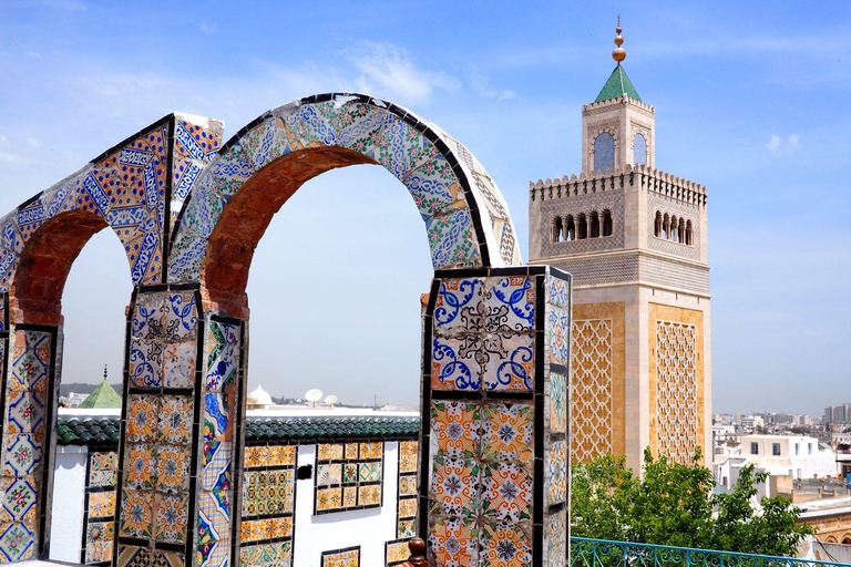 Tunis Medina, Carthage, and Sidi Bou Said Private Day Trip