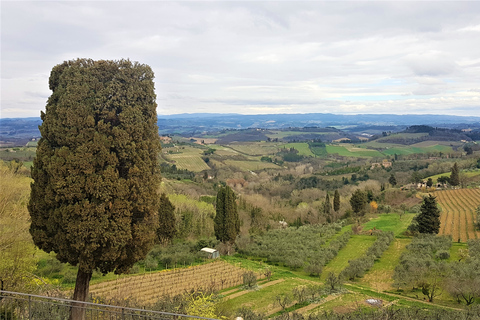 Florence: Siena &amp; San Gimignano Day Trip with Lunch &amp; Wine