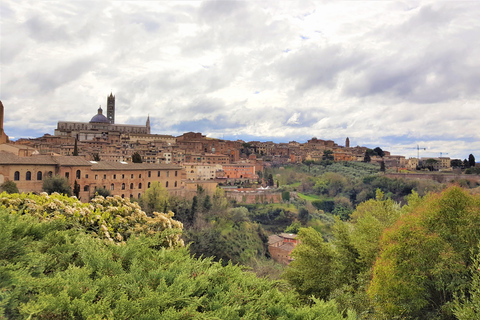 Florence: Siena &amp; San Gimignano Day Trip with Lunch &amp; Wine