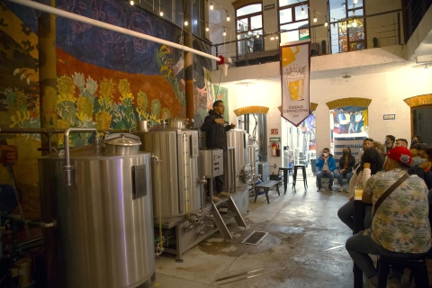 Visite guidée de Mexico et dégustation de bière artisanaleVisite de dégustation à Mexico et expérience de bière artisanale