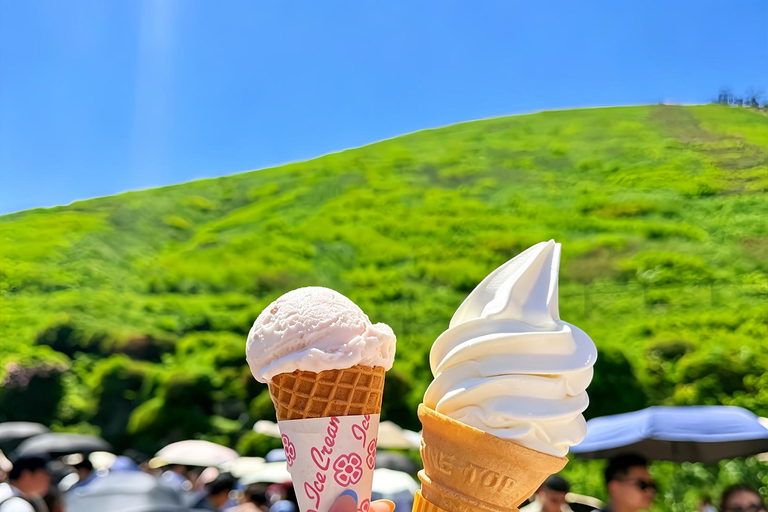 Small Group Day Tour:Omuro Mountain & the Izu Scenic Railway Hotel Transfer Option
