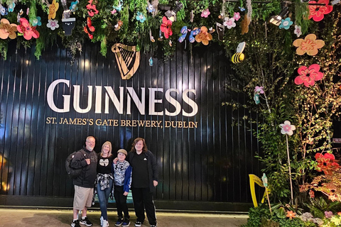 Dublin : Private Sightseeing Tour of Dublin City