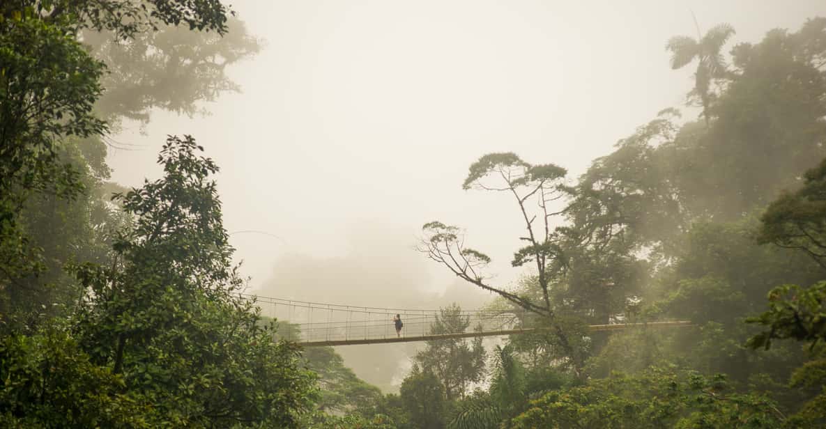 La Fortuna: Wycieczka po wiszących mostach Arenal | GetYourGuide