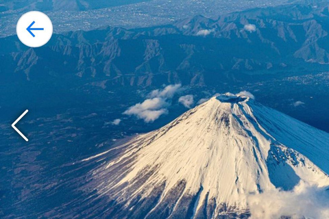 Från Tokyo: Privat resa till Fuji-berget och Kawaguchi-sjön