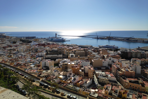 Almería: Tour em pequenos grupos pela AlcazabaAlmeria: excursão para grupos pequenos em Alcazaba em espanhol