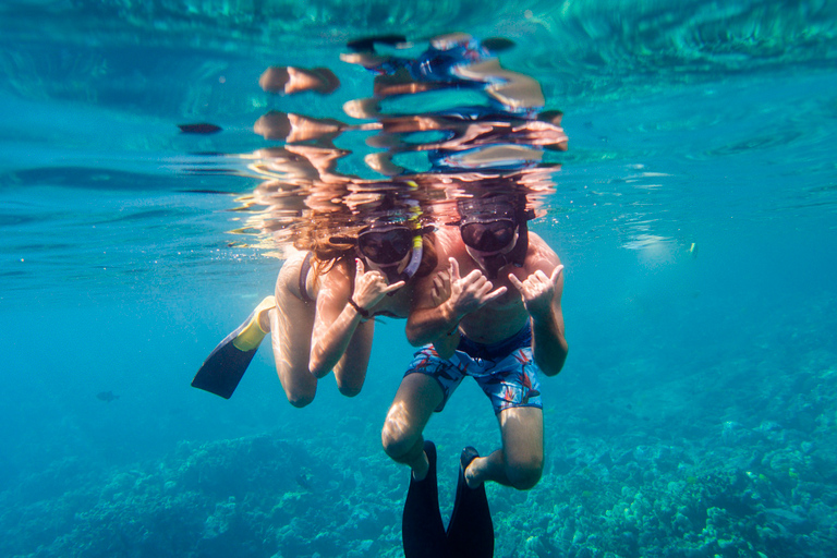 Kona Morning Snorkel-World Famous Captain Cook Monument