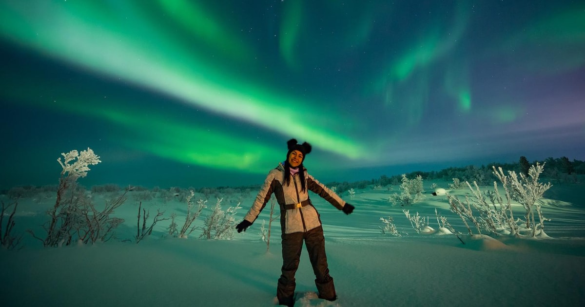 Lappland Aurora Borealis BBQ Tour GetYourGuide