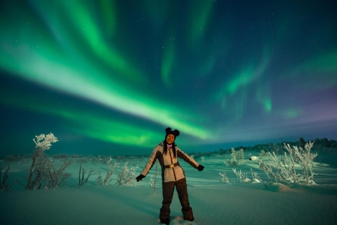 Rovaniemi: Experiencia de picnic con barbacoa bajo la aurora boreal