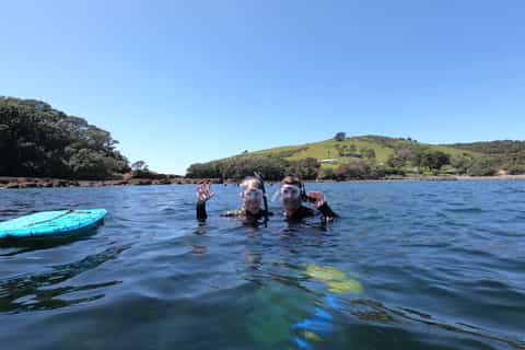 Leigh: Goat Island Guided Snorkeling Tour for Beginners