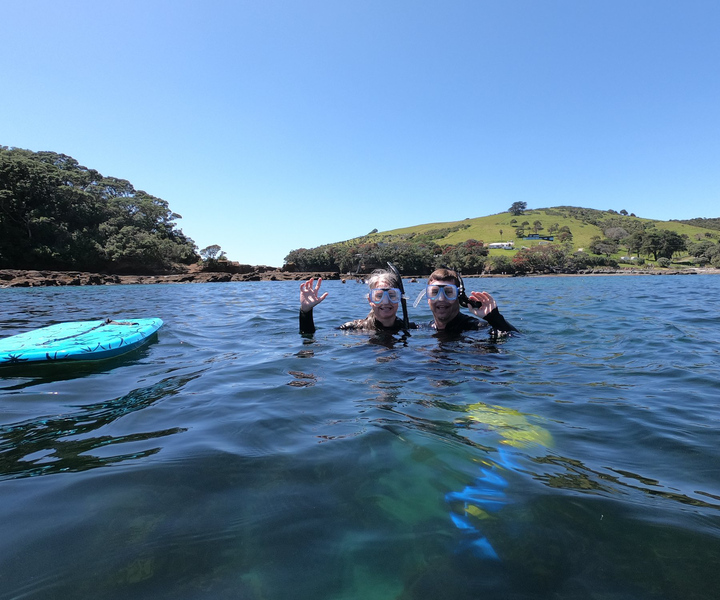 Leigh: tour guidato di snorkeling di Goat Island per principianti