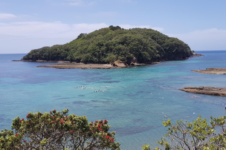 Leigh: Goat Island begeleide snorkeltocht voor beginners