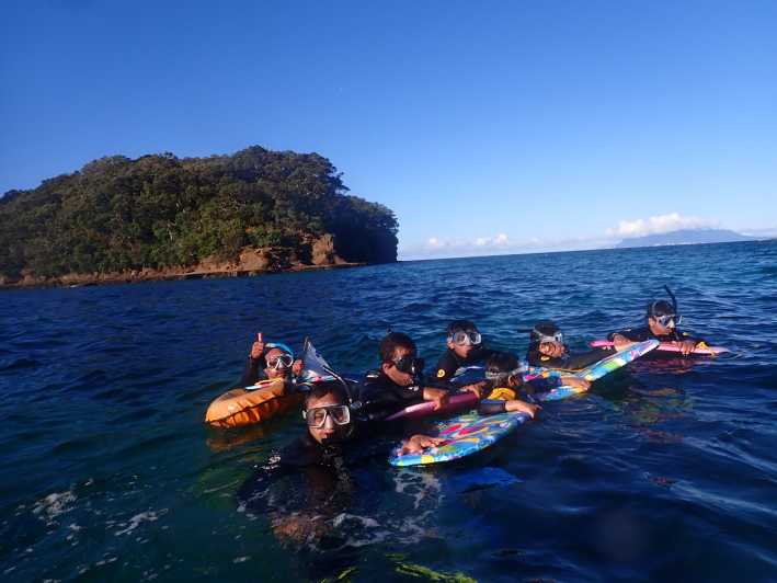 Leigh: excursão guiada de mergulho com snorkel na Goat Island para iniciantes
