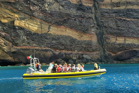 Madeira: walvis- en dolfijnen spotten