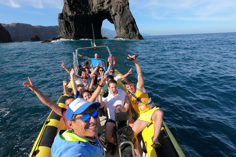 Madère : excursion d'observation des baleines et des dauphins