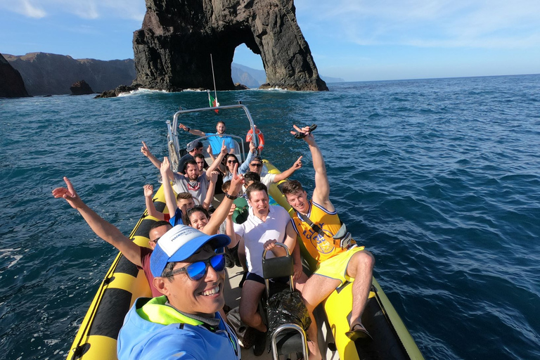 Madeira: tour di osservazione di balene e delfini