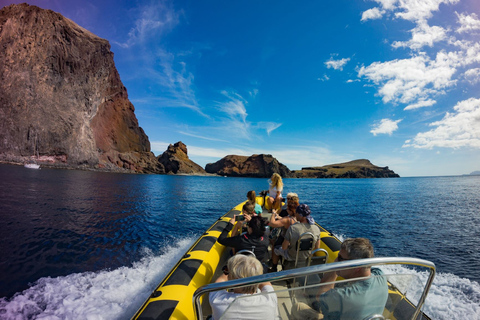 Madeira: Wal- und Delfinbeobachtungstour