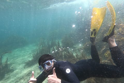 From Leigh: Goat Island Advanced Guided Snorkeling Tour