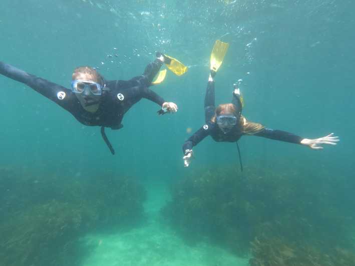 De Leigh: excursão guiada avançada de mergulho com snorkel na Goat Island