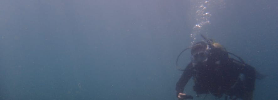 Goat Island Marine Reserve In Auckland Bezoeken Nu Tickets Boeken