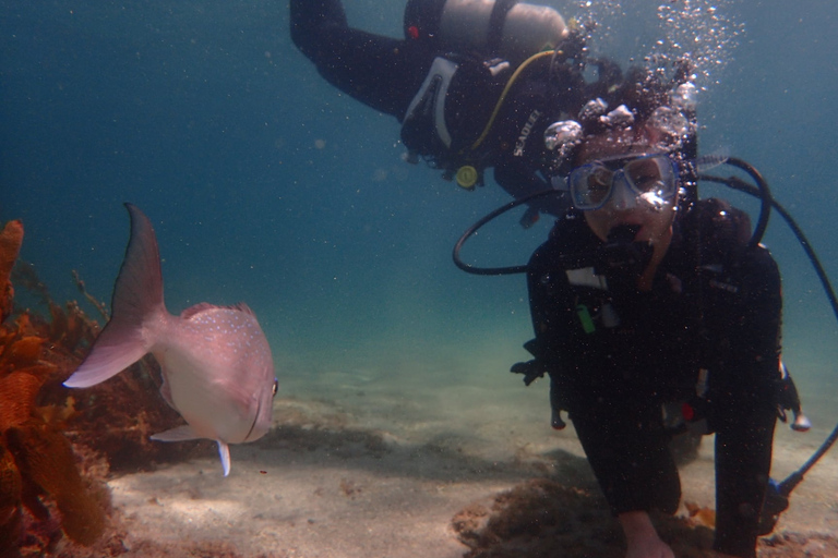 De Leigh: experiencia introductoria de buceo en Goat Island