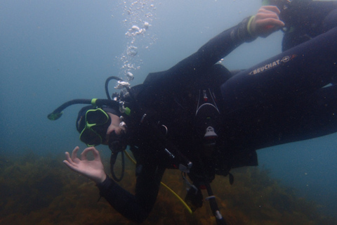 Från Leigh: Goat Island Prova på dykningFrån Leigh: Goat Island Introductory Diving Experience