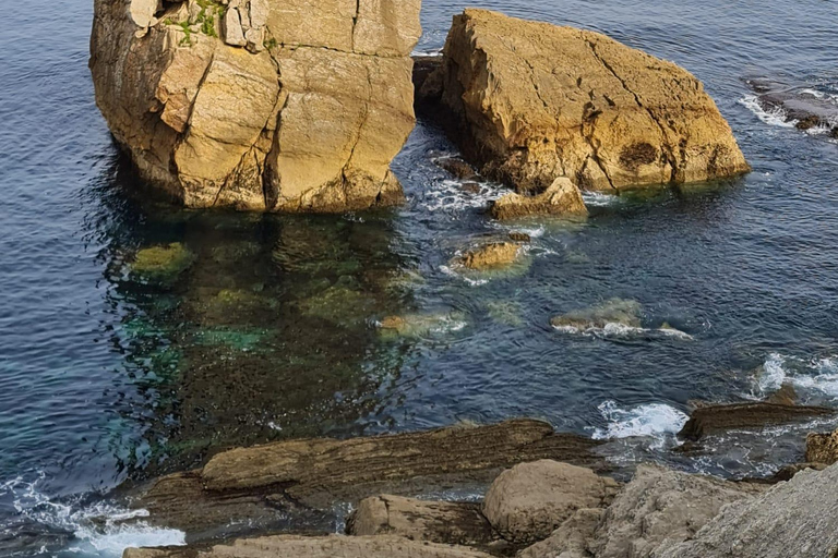 Playa de la Arnía: Private Tour of the UNESCO Costa Quebrada Visit in Spanish