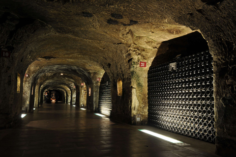 Reims/Epernay: Private Moet & Chandon Winery Tour & Tastings