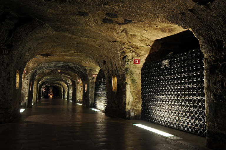 Reims/Epernay: Private Moet & Chandon Winery Tour & Tastings