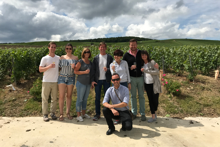 Reims/Epernay: Private Moet & Chandon Winery Tour & Tastings