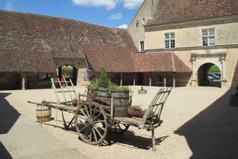 From Beaune or Dijon: Private Full-Day Wine Tasting Tour
