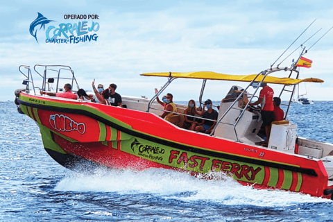 Fuerteventura: Water Taxi to Lobos Island