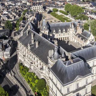 Blois: Eintrittskarte für das Schloss von Blois