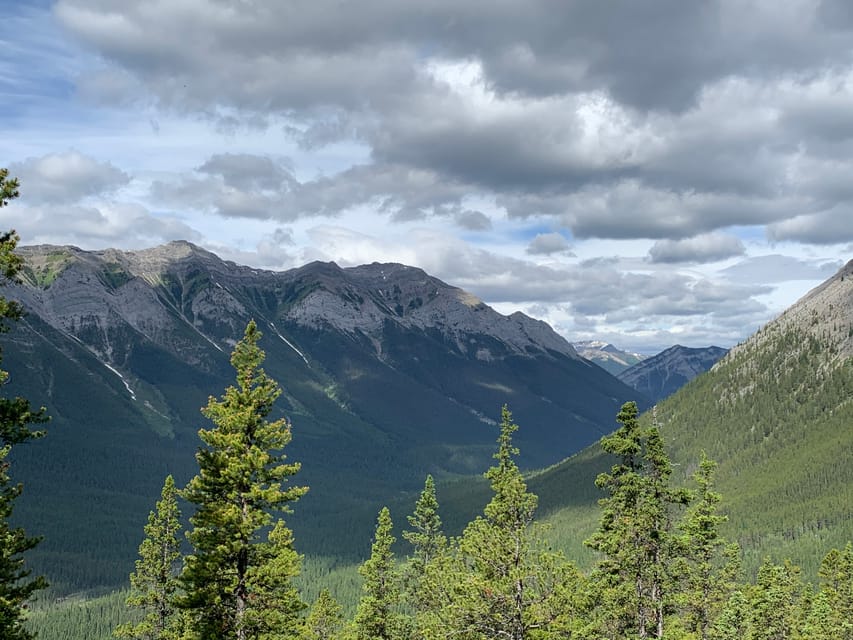 Banff Escursione Nel Paese Degli Orsi Escursione Di Una Giornata Intera Ore Getyourguide