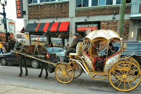 Downtown Nashville: Cinderella Private Narrated Carriage