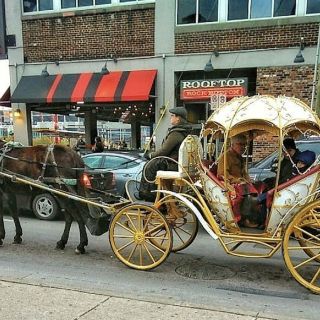 Downtown Nashville: Cinderella Private Narrated Carriage