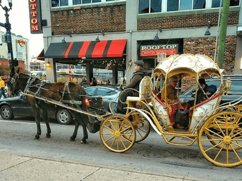 Innenstadt von Nashville: Cinderella Private Narrated Carriage Innenstadt von Nashville: Cinderella Private Narrated Carriage