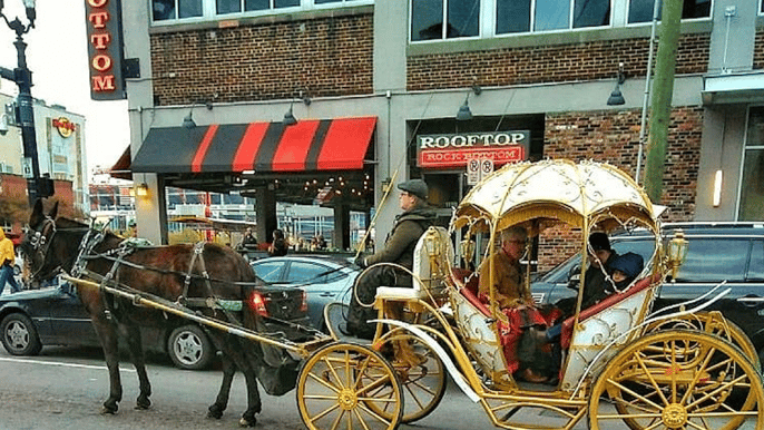 downtown nashville cinderella private narrated carriage