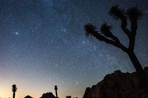 Tour to Joshua Tree National park from Los Angeles