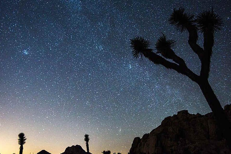 Visite du parc national de Joshua Tree au départ de Los Angeles