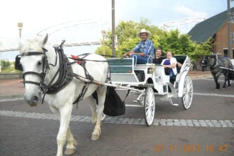 Downtown Nashville: Private Narrated Carriage Ride