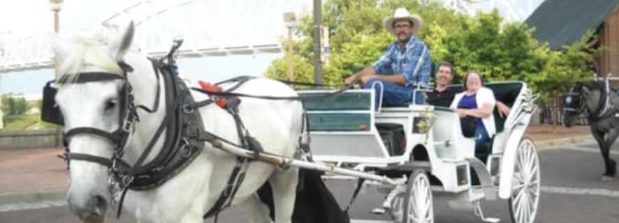 Downtown Nashville: Private Narrated Carriage Ride