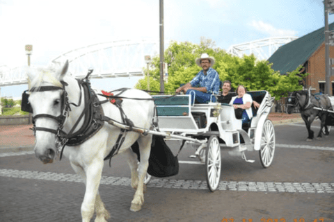 Downtown Nashville: Private Narrated Carriage Ride