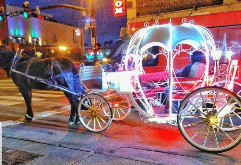 Downtown Nashville: Cinderella Private Narrated Carriage 