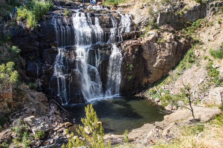 Depuis Melbourne : Parc national des Grampians et Kangourous