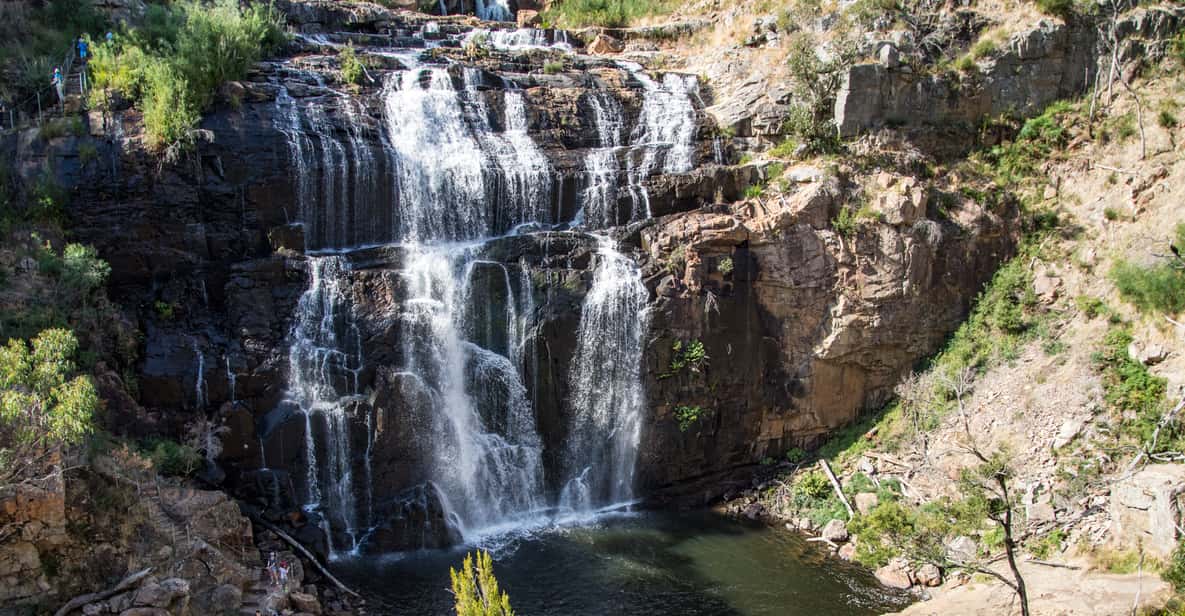 From Melbourne: Grampians National Park & Kangaroos