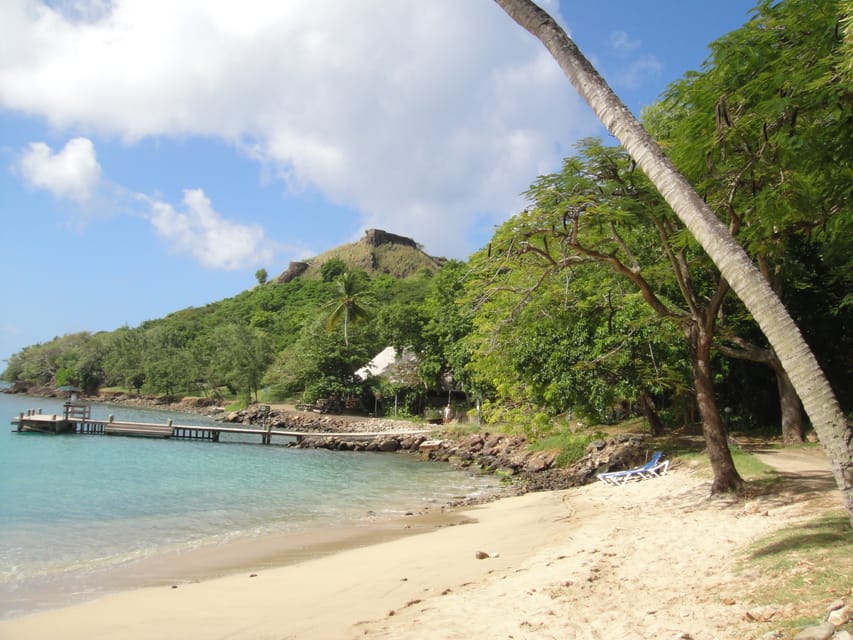 Pigeon Point and Castries Paradise Tour on Saint Lucia | GetYourGuide