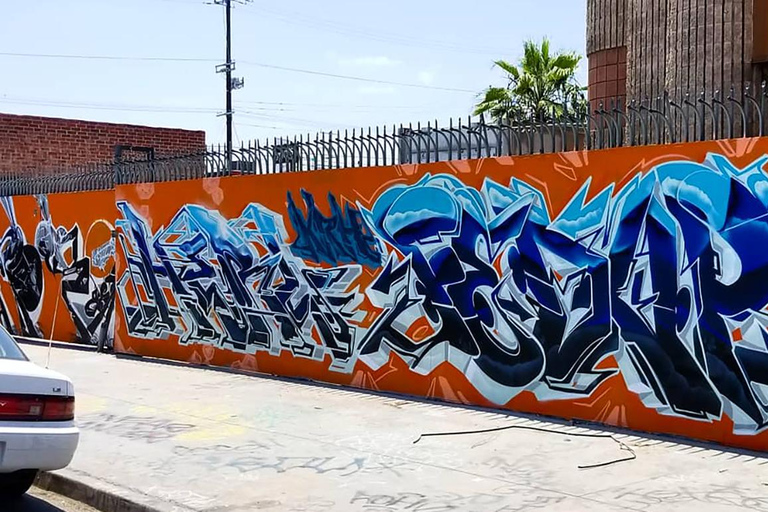 Los Angeles: Private Alley Adventure Graffiti Bike Tour